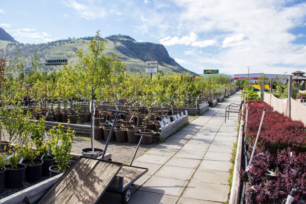 Art Knapp Kamloops Nursery