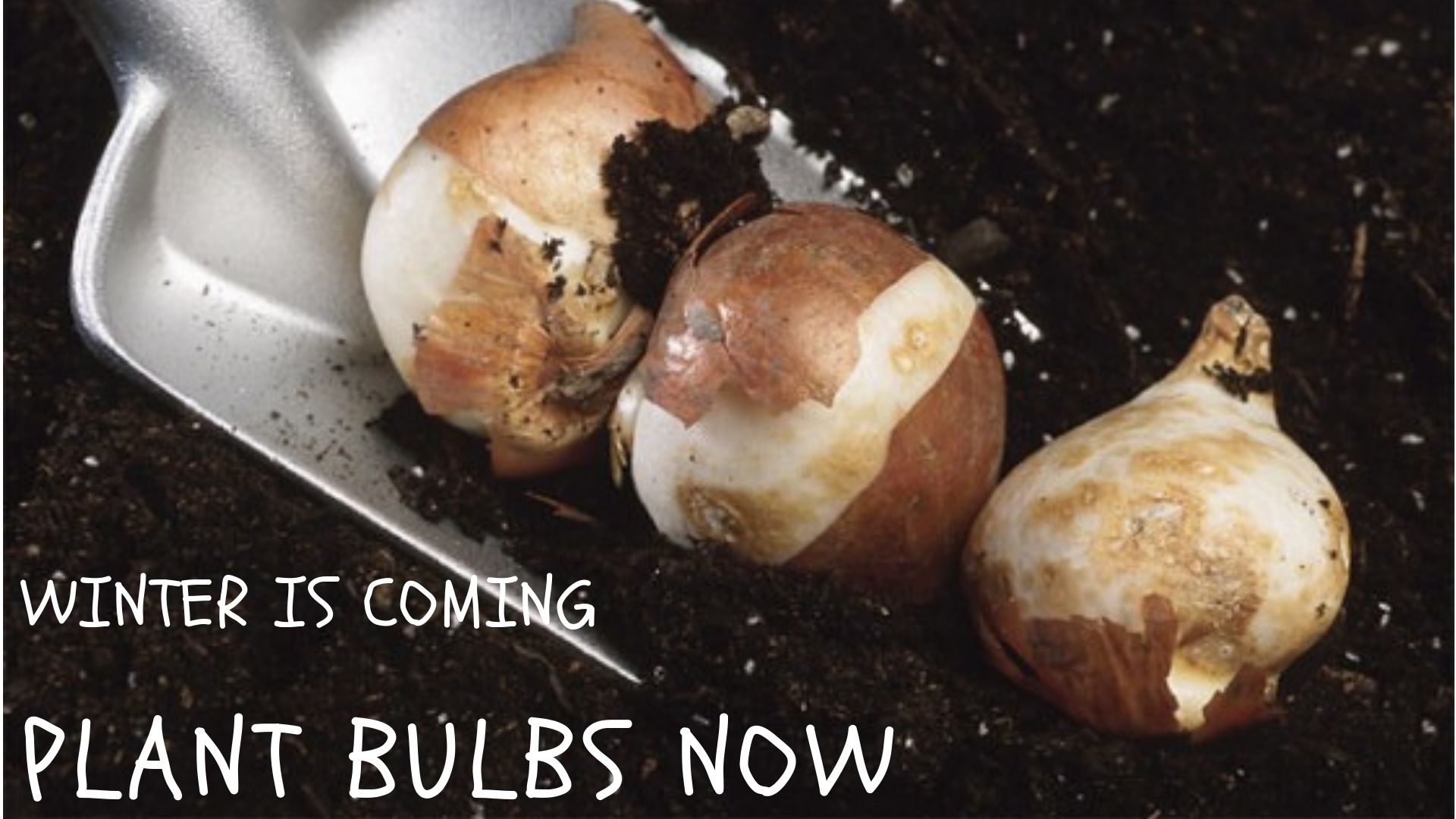 Art Knapp Kamloops Garden Centre & Florist Home