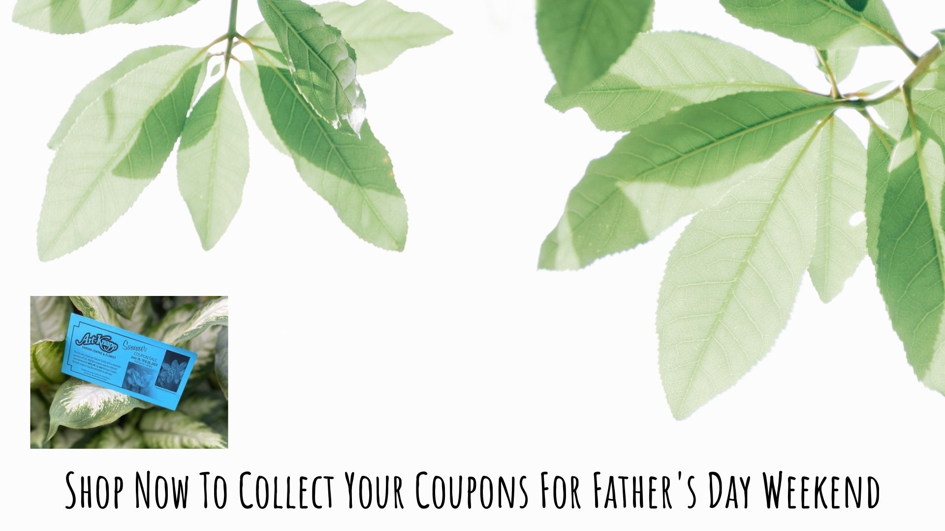 Art Knapp Kamloops Garden Centre & Florist Home