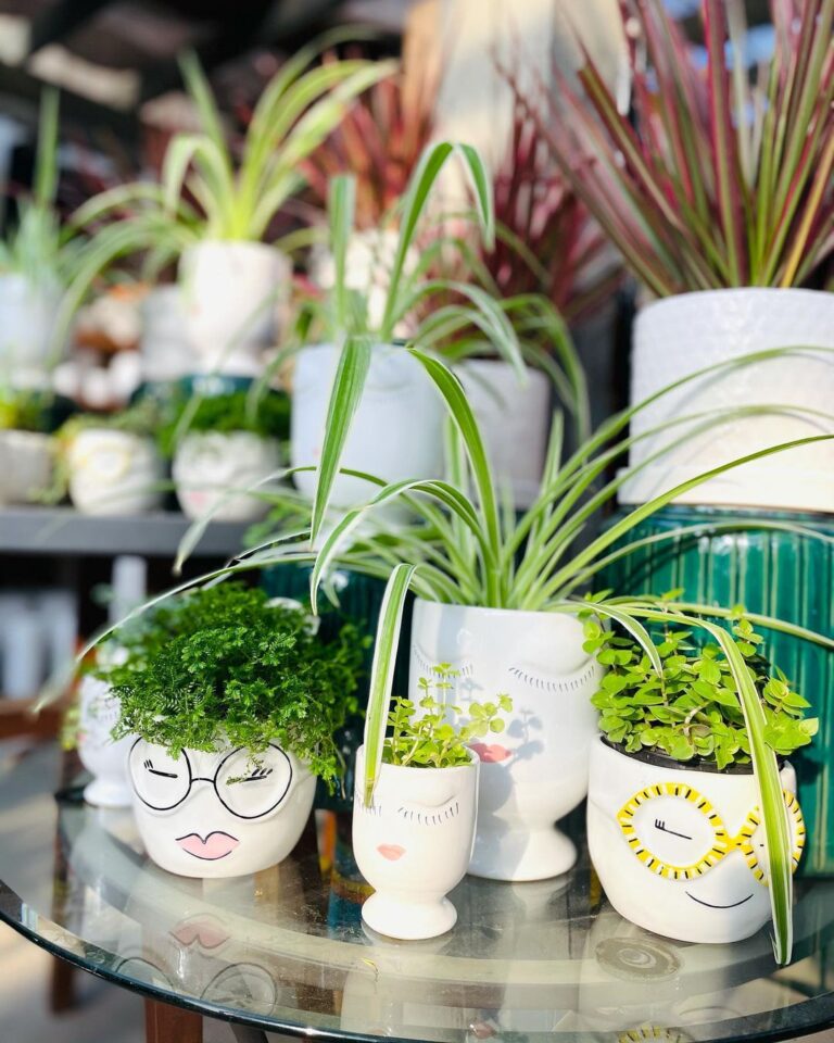 Gift Shop Art Knapp of Kamloops