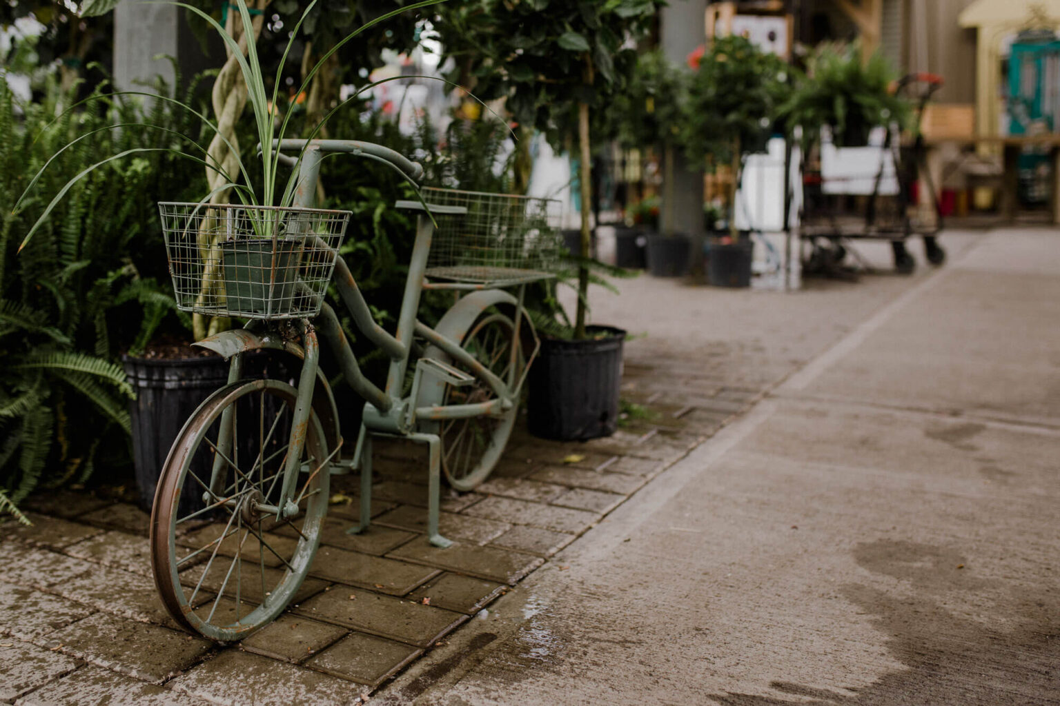 About Us Art Knapp of Kamloops