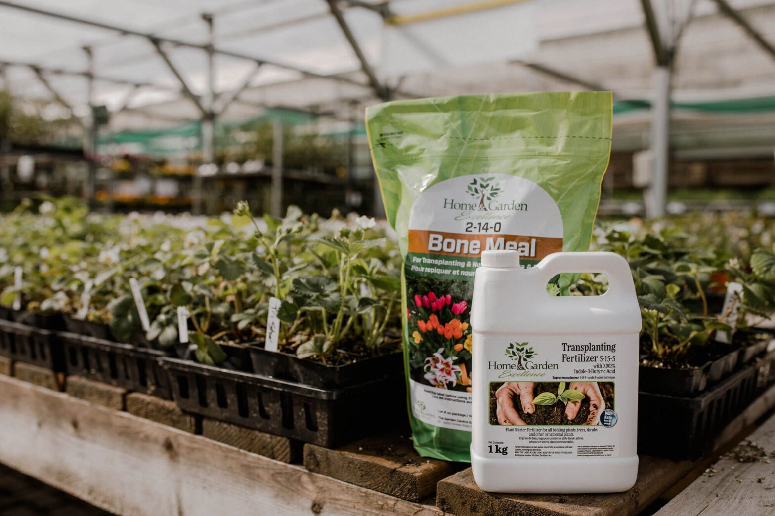 Nursery Art Knapp of Kamloops